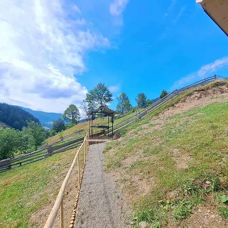 під лісом Apartamento Synevyrsʼka Polyana
